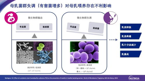腸-乳腺軸研究新進展與健康產(chǎn)業(yè)應用前景
